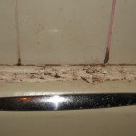 Bath Sealant Before