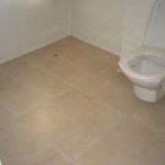 Bathroom Floor Before