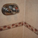 Shower Vertical After