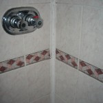 Shower Vertical Before