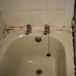 Silicone Sealant